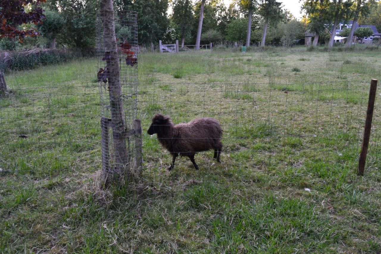 De Galerie - Landgoed Rijckholt Βίλα Geersdijk Εξωτερικό φωτογραφία